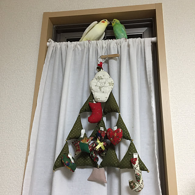 toratanさんの実例写真
