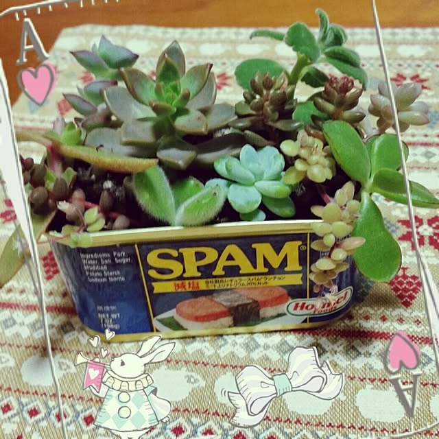 Yumiさんの実例写真