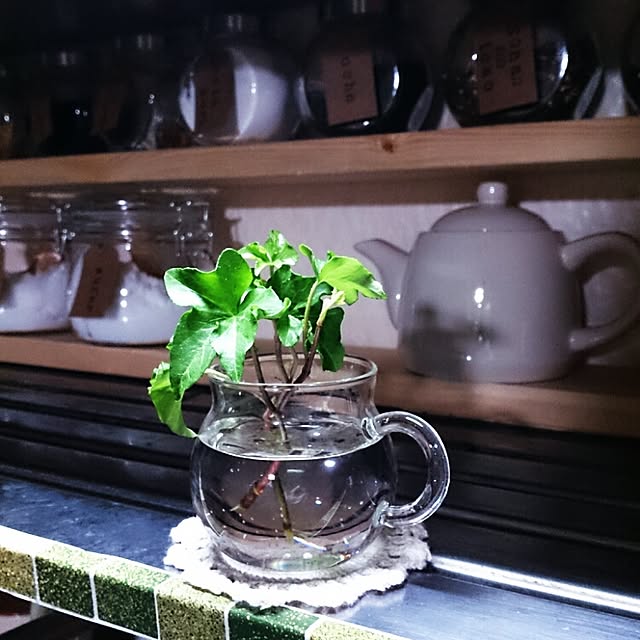 miporin0711さんの実例写真