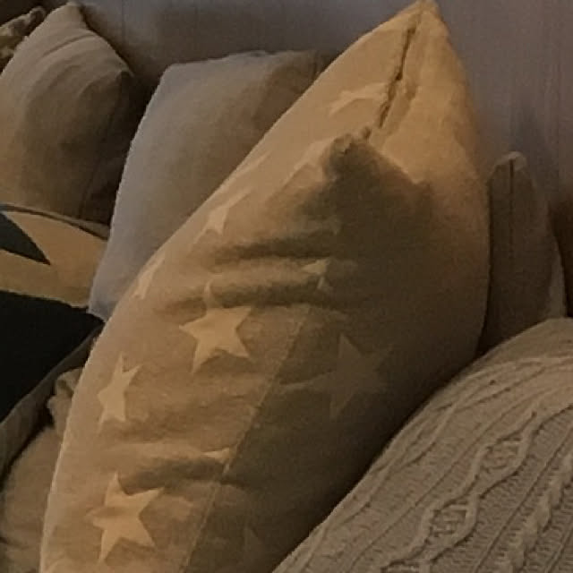 momottyさんの実例写真