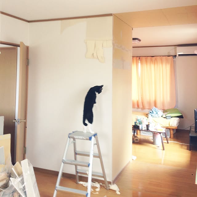 Kinanさんの実例写真