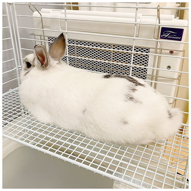 ksfioriさんの実例写真