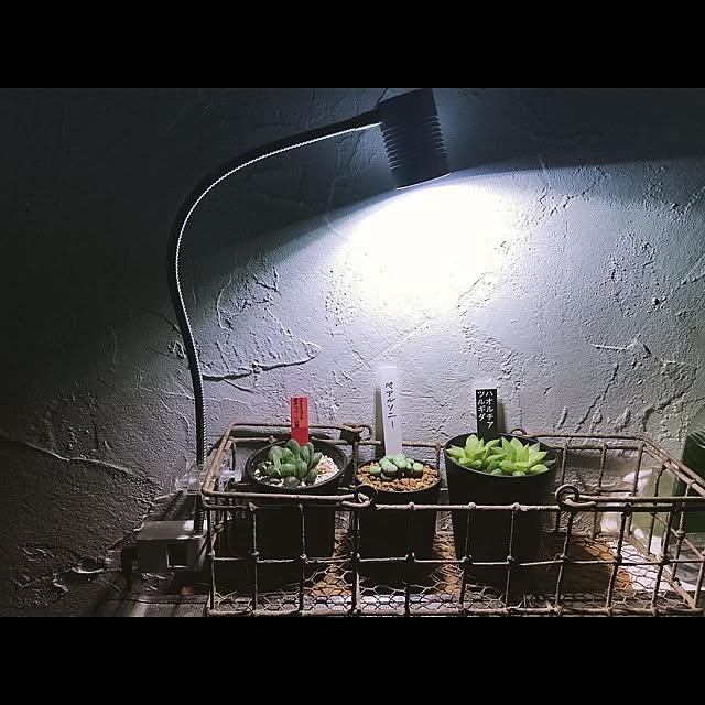 abandonedmineさんの実例写真