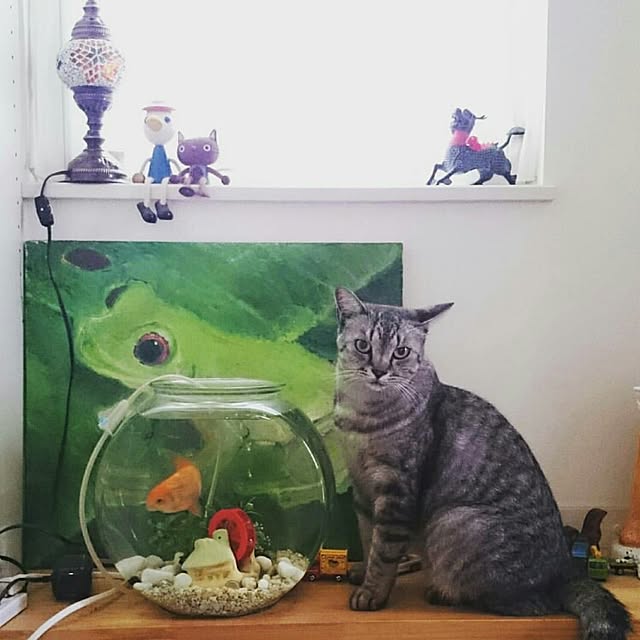 yumimiさんの実例写真