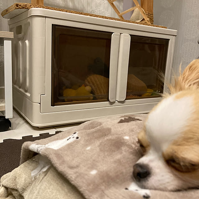 toratanさんの実例写真