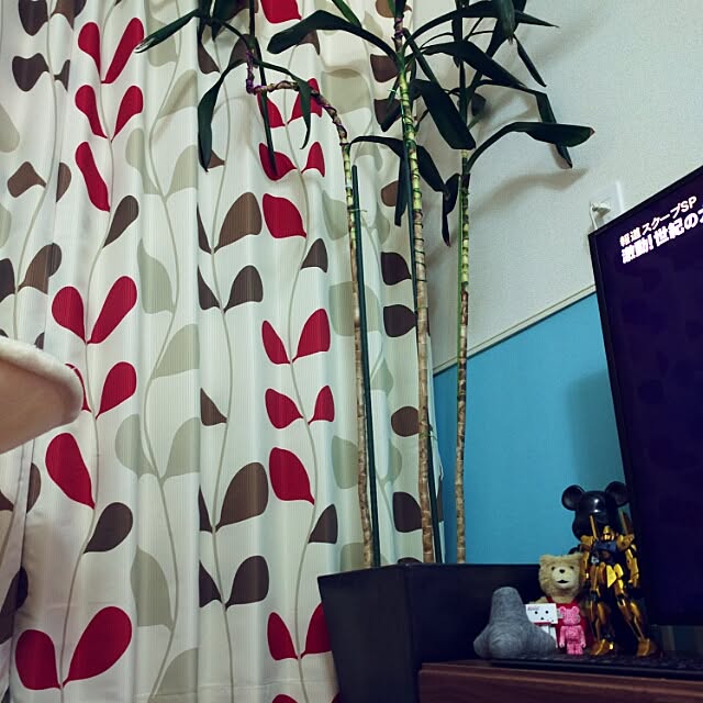 Sid_Vicious_SASさんの実例写真