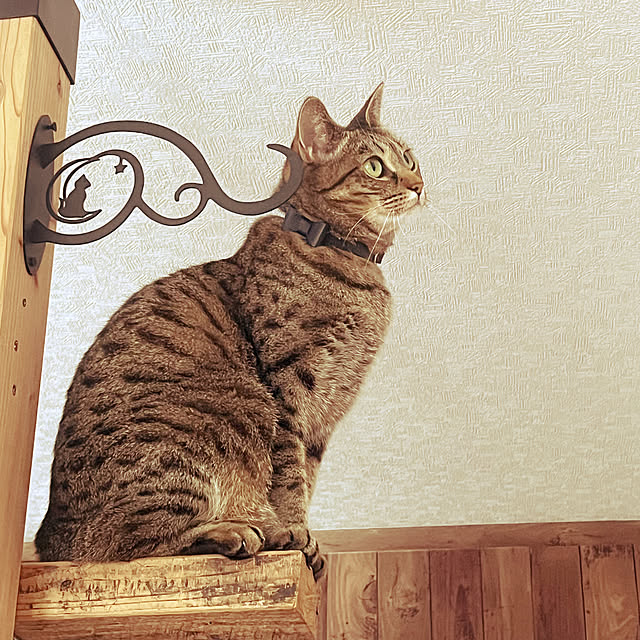 Mさんの部屋