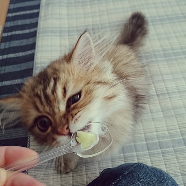 hanaさんの実例写真