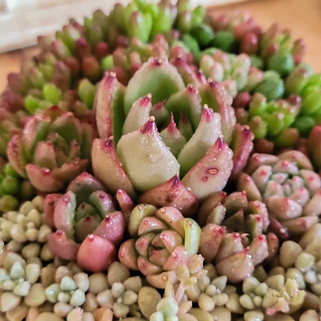 RinRinさんの部屋