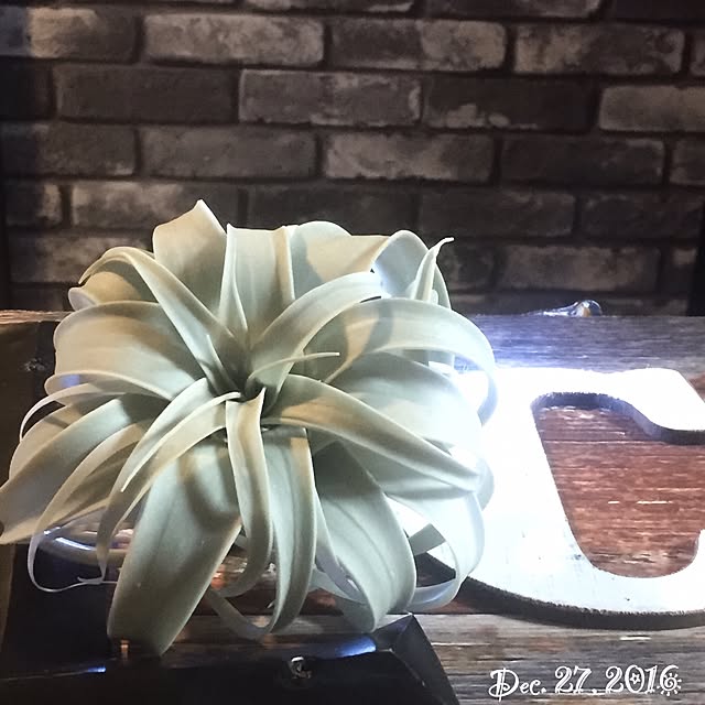 natulove0418さんの実例写真