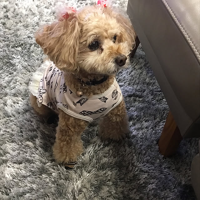 coronさんの実例写真