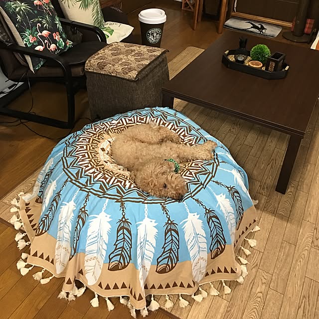 ronmaruさんの実例写真