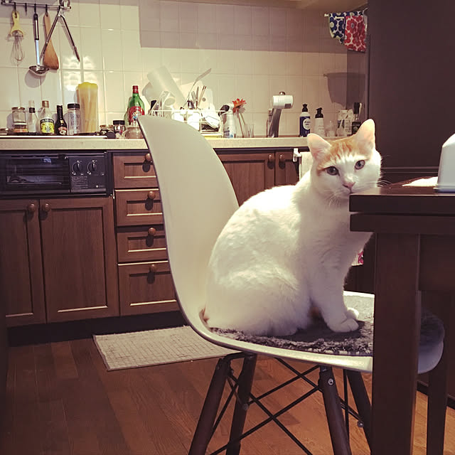 nawokoさんの実例写真