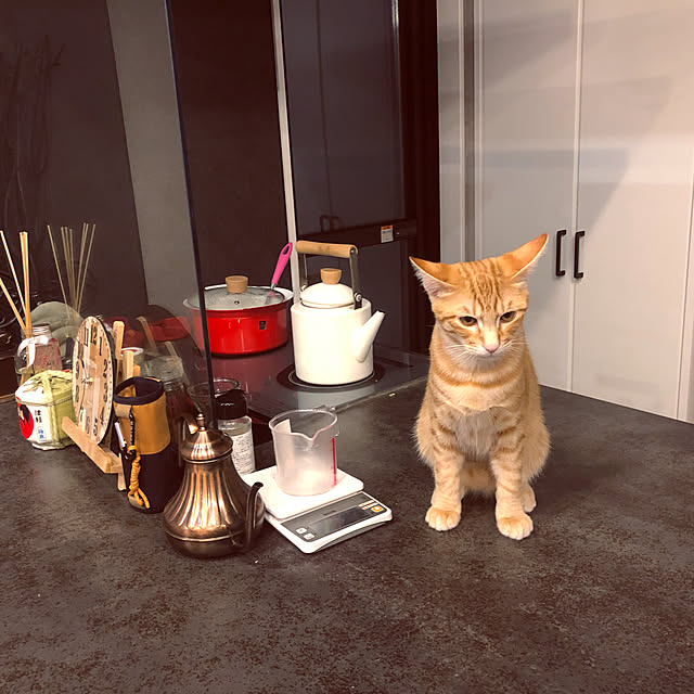 imosukeさんの実例写真