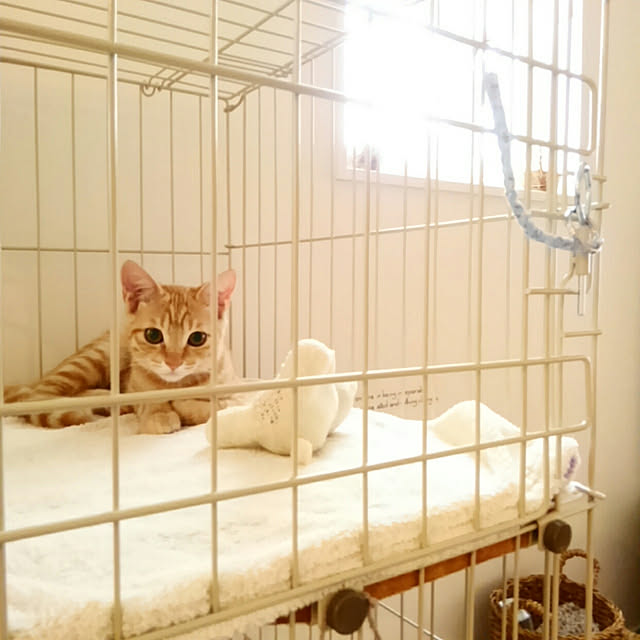 mayutan.さんの実例写真