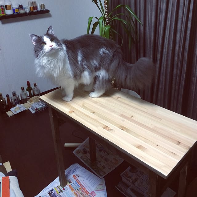 yucky_rioさんの実例写真