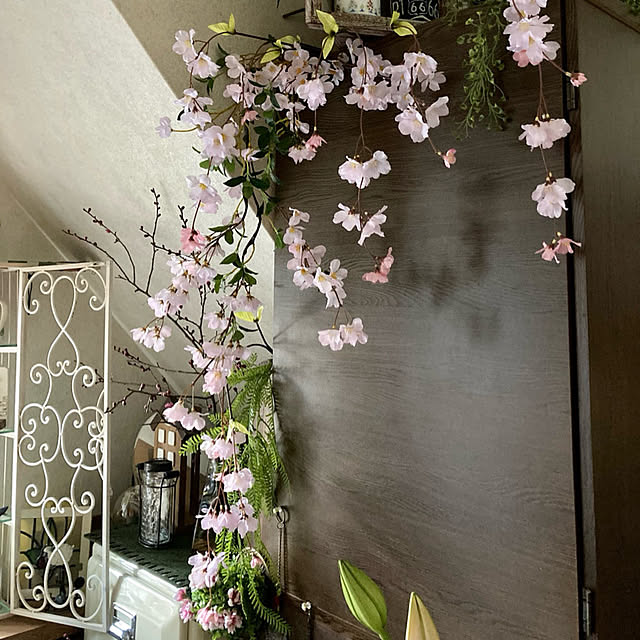 cotaさんの実例写真