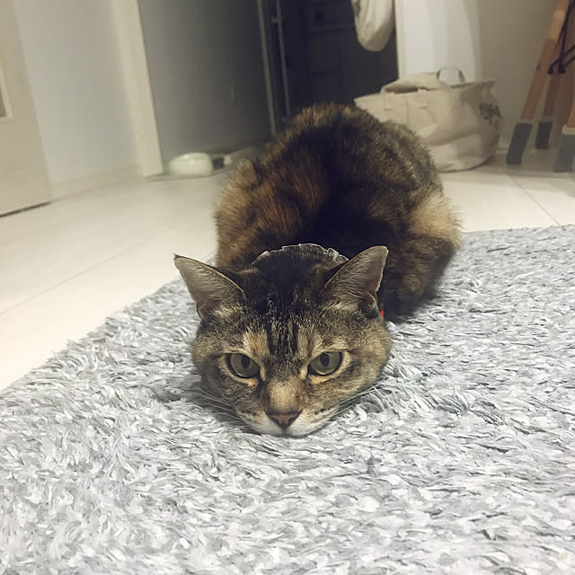 minminさんの実例写真