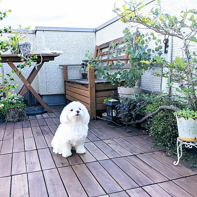 yokkoさんの実例写真