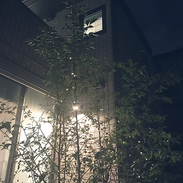 chachaharuloveさんの実例写真