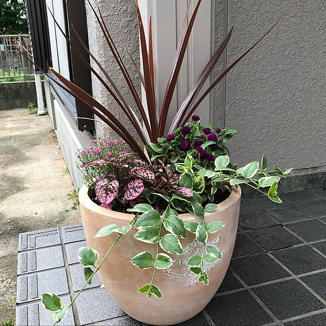 ckさんの実例写真