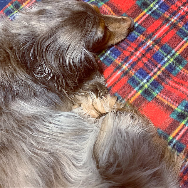 kettyさんの実例写真