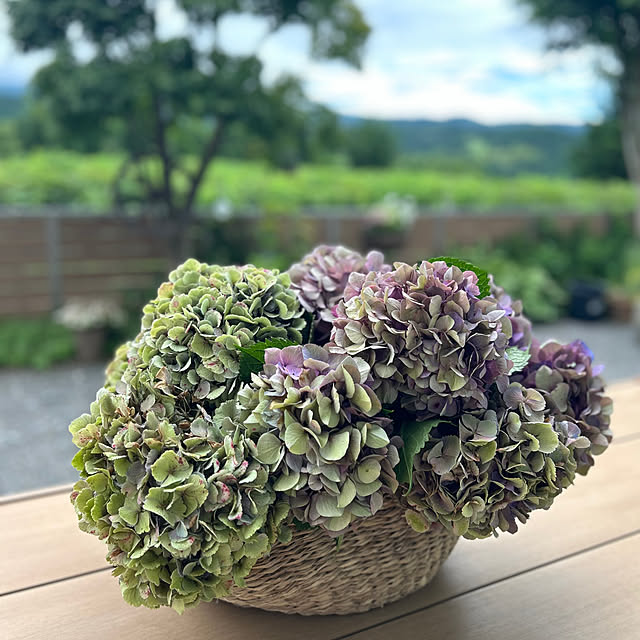 nana77さんの部屋