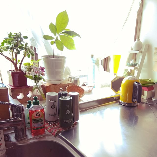coco1204さんの実例写真