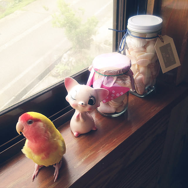 aoinokimiさんの実例写真