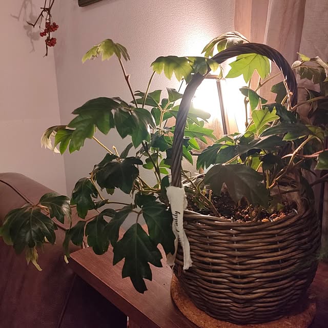 Yoko622さんの実例写真