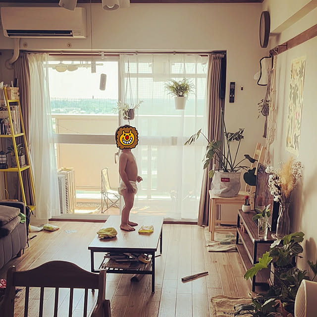 実例写真
