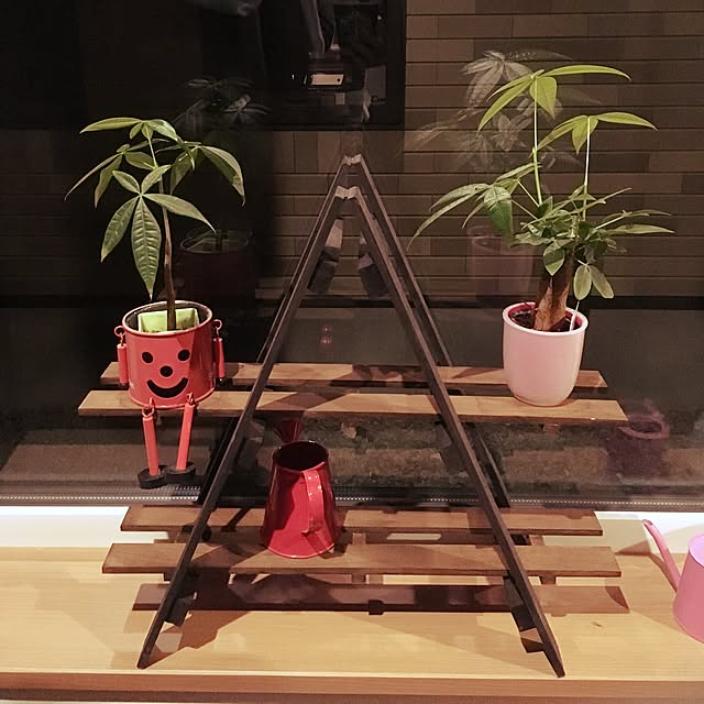 naokoさんの実例写真