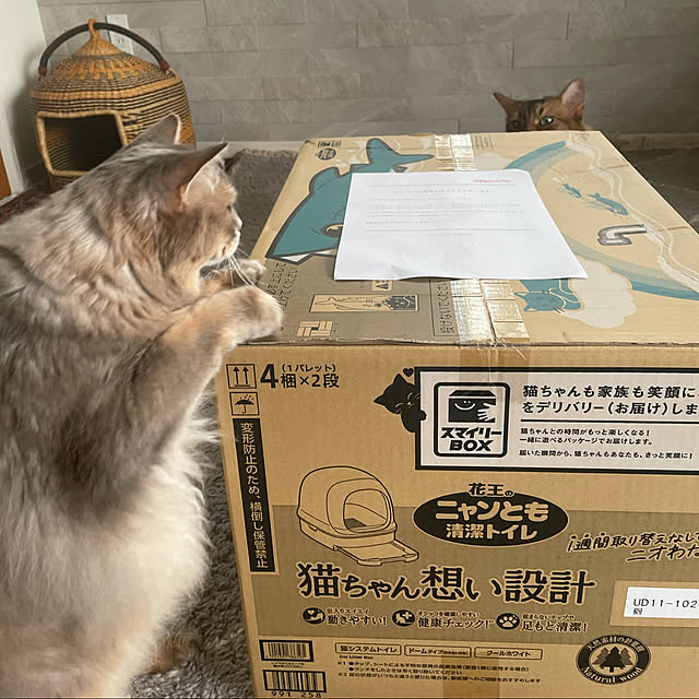 shihoさんの実例写真
