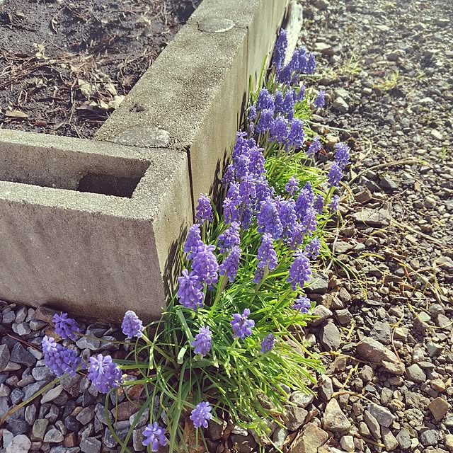 Ryokoさんの実例写真