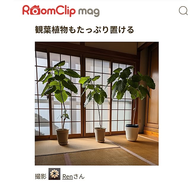 Renさんの部屋