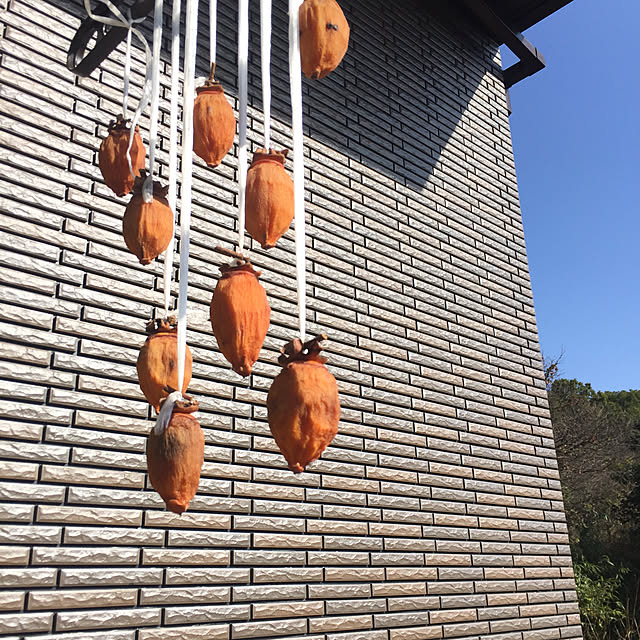 Kanamaruさんの実例写真