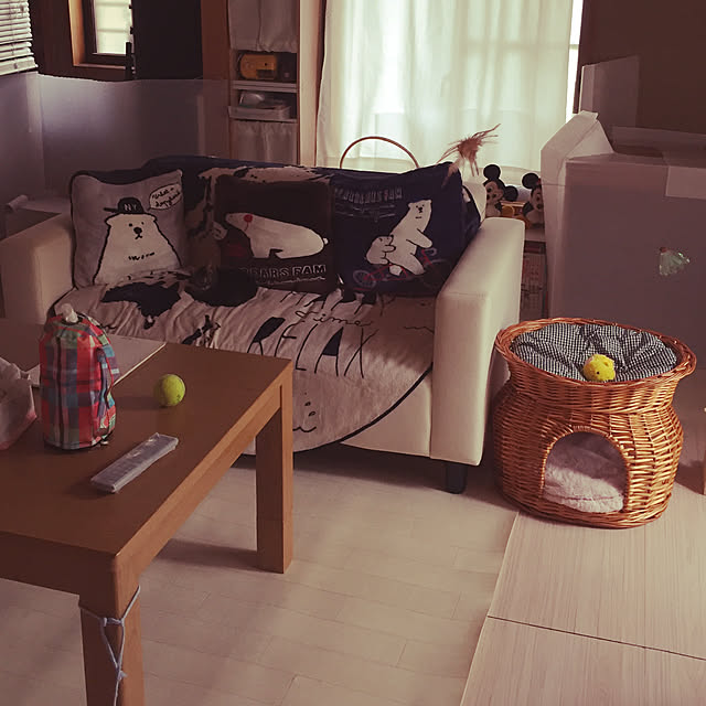 social.kumaさんの実例写真