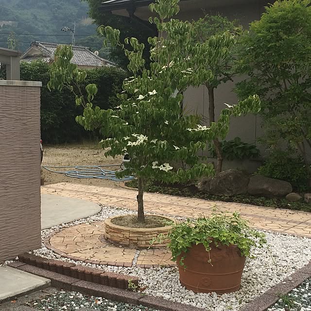 実例写真