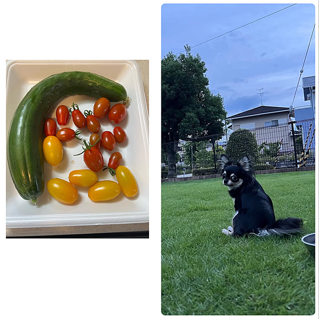 melmelさんの実例写真