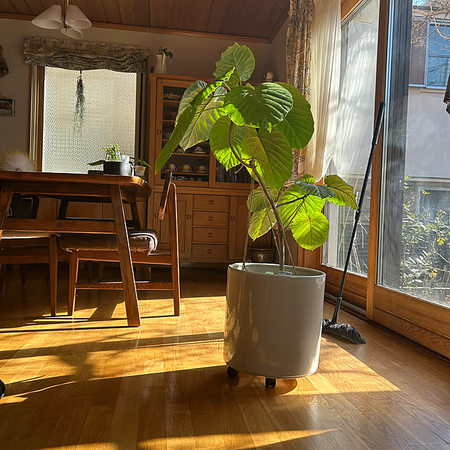 botanさんの部屋