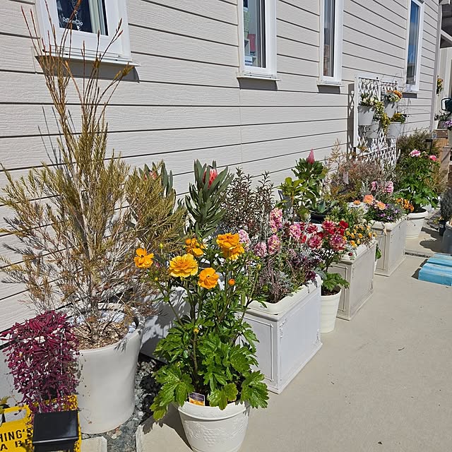 nonbiri_house_さんの部屋