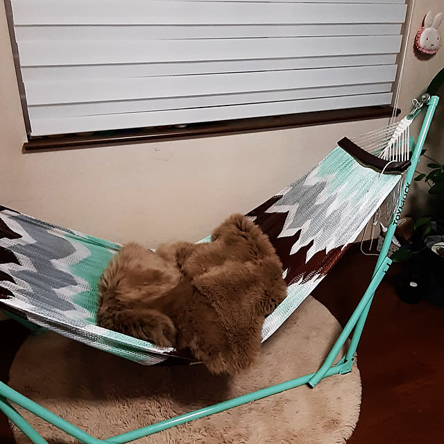 woodstockyokkoさんの実例写真