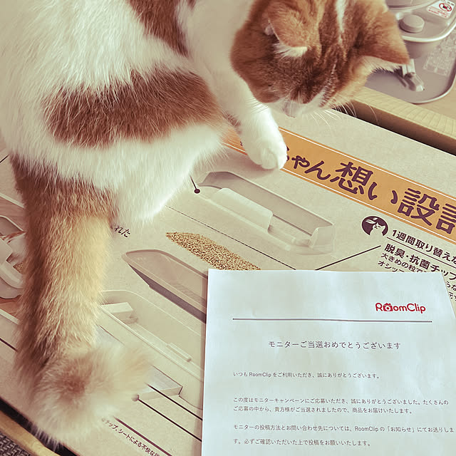 akoさんの実例写真