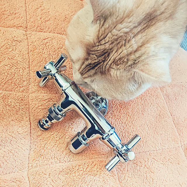 konatsuさんの実例写真