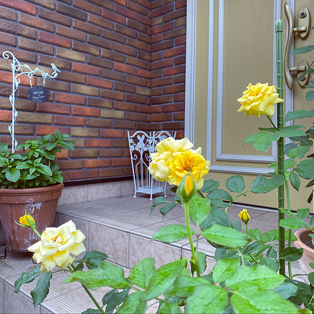 RoseLife5818さんの実例写真