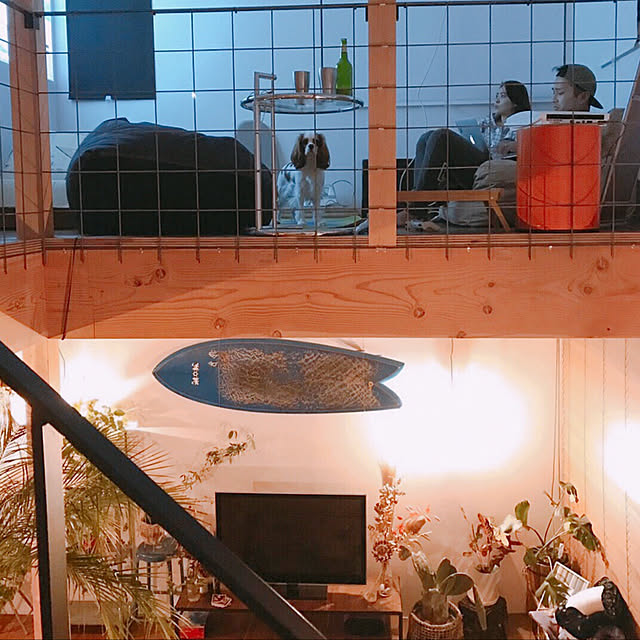 部屋全体/DIY/観葉植物/照明のインテリア実例 - 2018-03-06 12:01:41