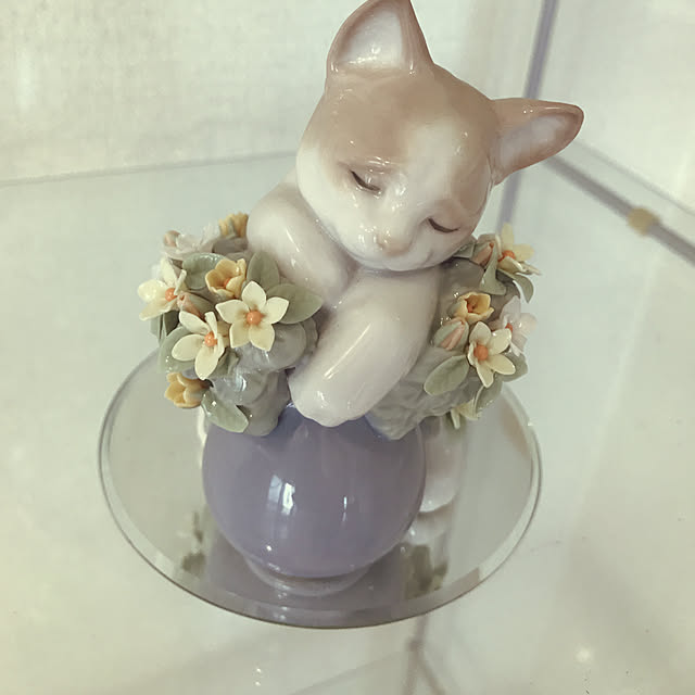 catさんの実例写真