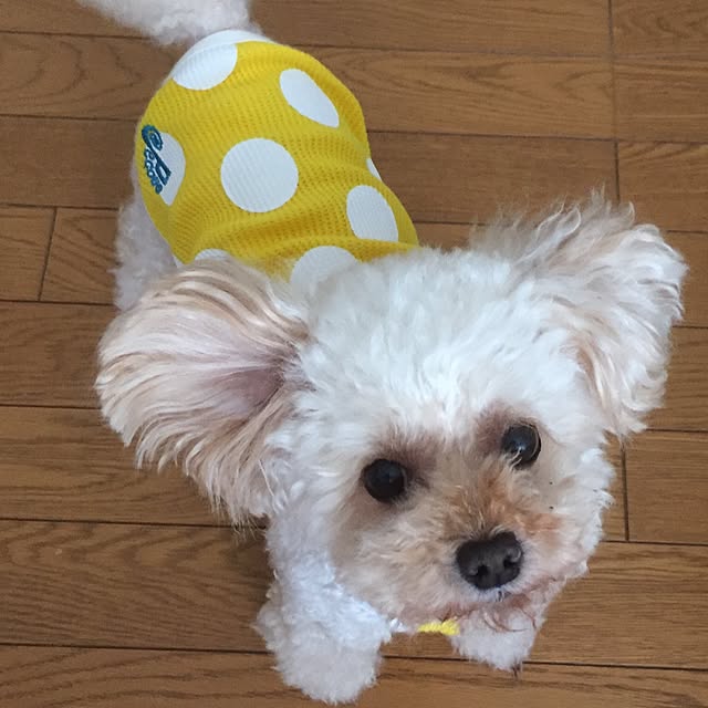 mimさんの実例写真