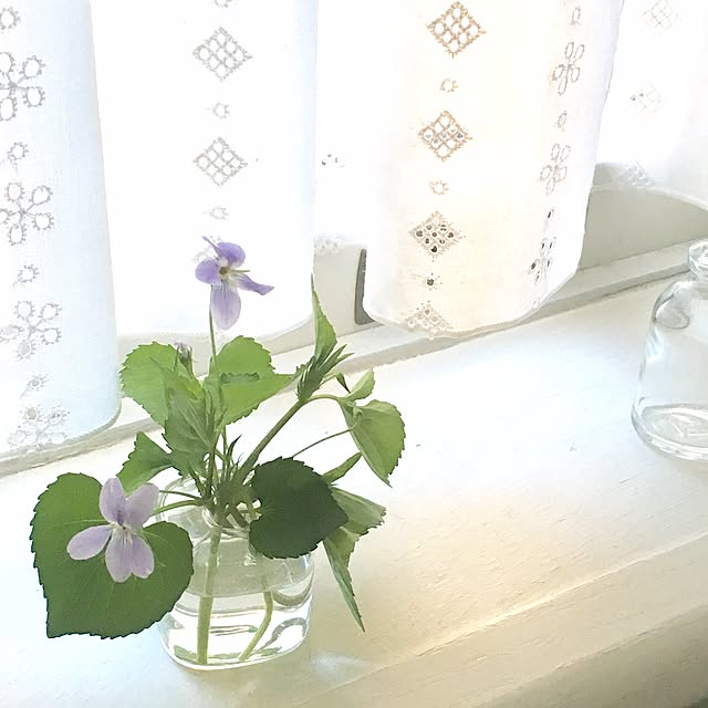Claraさんの実例写真