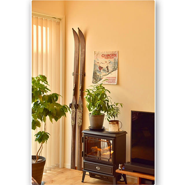 mikigumaさんの実例写真